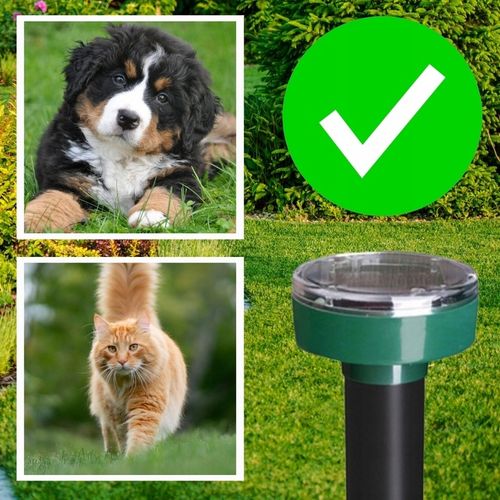 ODSTRASZACZ SOLARNY NA KRETY NORNICE I WĘŻE ODSTRASZACZ KRETÓW WĘŻY (4 SZT) na Arena.pl