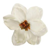 Magnolia wyrobowa cytrynowa