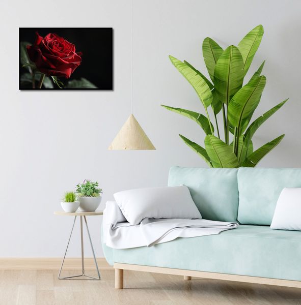 Plakat 60x40cm Róża w Półcieniu zdjęcie 4