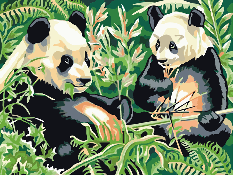 Malowanie po numerach – Panda - 30x40 rama zdjęcie 1
