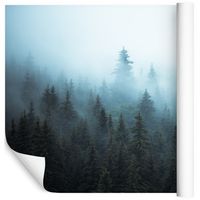 Fototapeta Las we Mgle Rośliny NATURA do Salonu 405x270