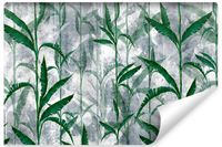 Fototapeta Do Salonu LIŚCIE Beton Abstrakcja Natura 180cm x 120cm