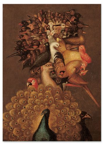 Obraz na płótnie portret ptak 50x70 cm na Arena.pl