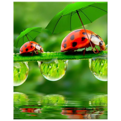 40X50 Obraz Na Prawdziwym Płótnie na Arena.pl