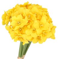 ŻONKIL ŻONKILE BUKIET SZTUCZNE KWIATY JAK ŻYWE 41CM