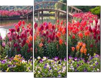 70 90CM OBRAZ 3 ELEM MOSTEK WŚRÓD KWIATÓW ŚCIENNY DRUK PŁÓTNO