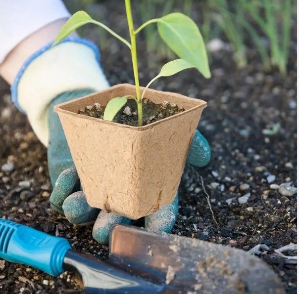 DONICZKI TORFOWE NA ROZSADY SADZONKI 8CM 20SZT zdjęcie 8