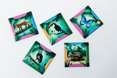 Gra Odkrywcy: Amazonia na Arena.pl