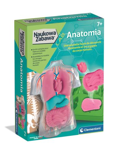 naukowa zabawa anatomia 2523 na Arena.pl