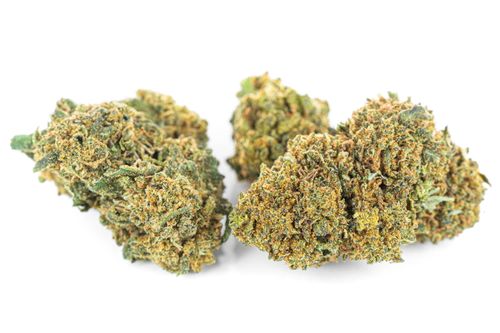 Susz konopny CBD | JACK HERER | 1 g na Arena.pl