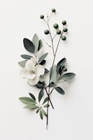 product-compare-59367095