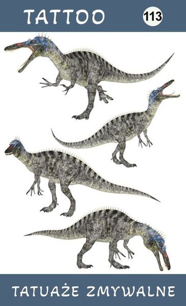 Tatuaże zmywalne Dinozaury zdjęcie 1