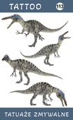 Tatuaże zmywalne Dinozaury