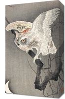 Obraz 30x50cm Scops Owl in Moonlight, Koson Japoński Vintage do Salonu