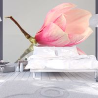 Fototapeta - Samotny kwiat magnolii 400x309