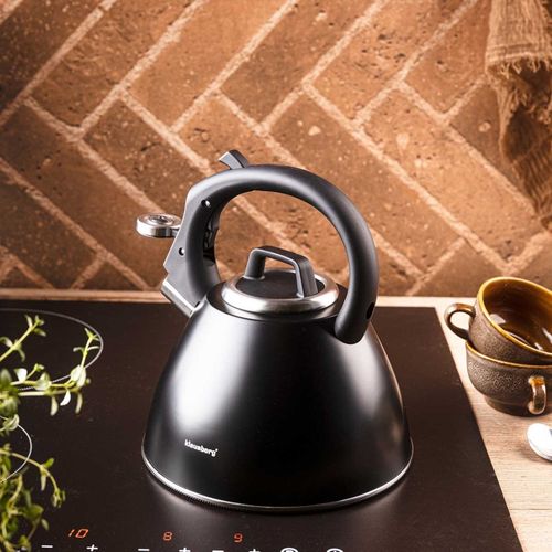 czajnik stalowy z gwizdkiem 2,5l klausberg kb-7952 na Arena.pl