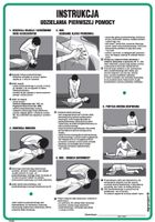 Instrukcja Udzielania Pierwszej Pomocy 245X350 Signproject Dd006_245X350_Hn Bhp Robocze