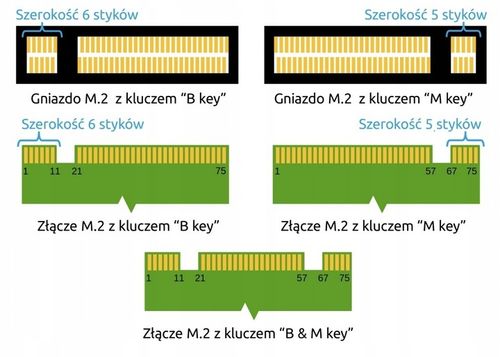 Adapter Kieszeń dysk 3.1 M.2 USB-C obudowa 10Gb/s na Arena.pl