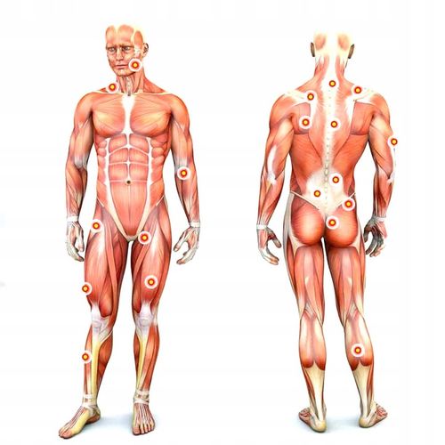 MASA HYDROLIZAT BIAŁKO WOŁOWE BCAA EAA OSTROVIT BEFFF PROTEIN KEBEB 360 G na Arena.pl