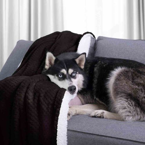 BLA/AH/SHLEEPY/BLACK/170X210 na Arena.pl