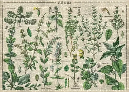 Puzzle 1000 elementów. Vintage Nature 1 na Arena.pl