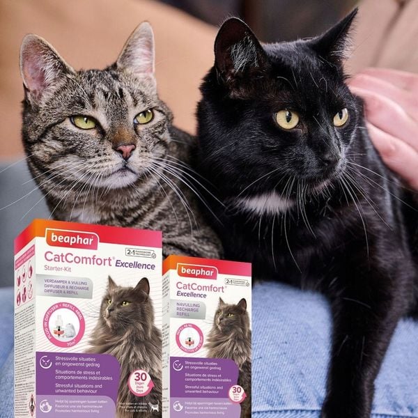 Beaphar Wkład do dyfuzora Cat Comfort dla kota zdjęcie 4