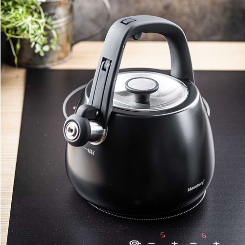 czajnik stalowy z gwizdkiem 2,5l klausberg kb-7774 na Arena.pl