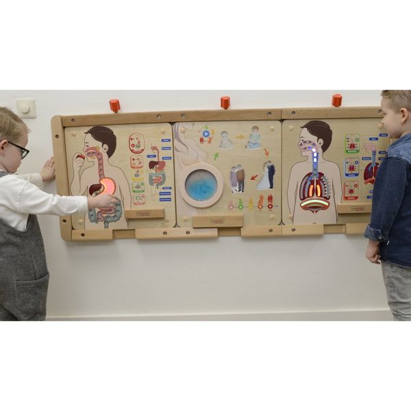 MASTERKIDZ Tablica Edukacyjna Układ Trawienny zdjęcie 6