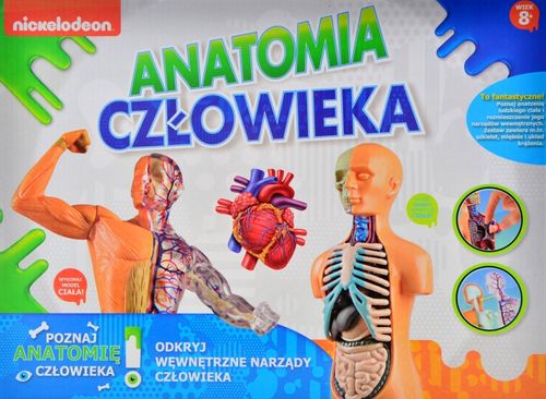 ANATOMIA CZŁOWIEKA na Arena.pl
