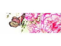 90X30CM KOLOROWE MOTYLKI TRÓJ OBRAZ