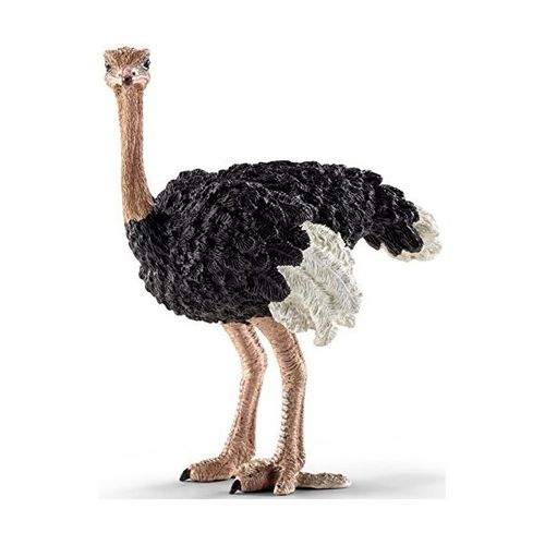 Schleich Struś na Arena.pl