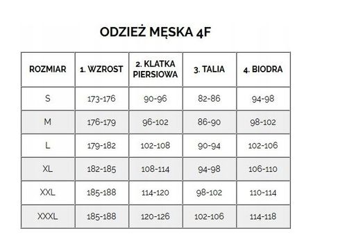4F KOSZULKA POLO BIAŁA POLÓWKA 100% BAWEŁNA M129 r. XL na Arena.pl