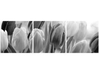 60 90CM OBRAZ 3 ELEM TULIPAN ŚCIENNY DRUK PŁÓTNO