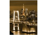 40X50CM RAINBOW BRIDGE TOKIO OBRAZ