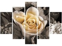 105CM 150CM OBRAZ 5 ELEM DELIKATNA RÓŻA DRUK