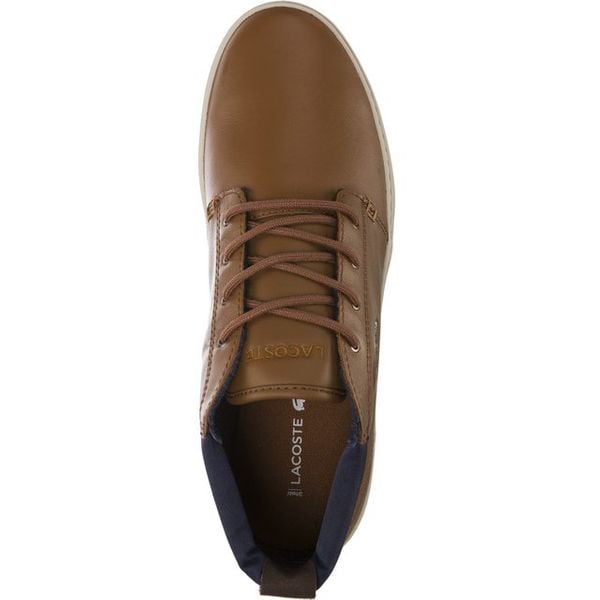 lacoste ampthill terra 317 1