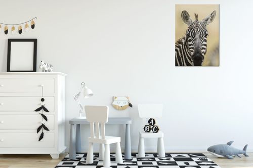 Foto-Obraz 50X70 Zebra na Arena.pl