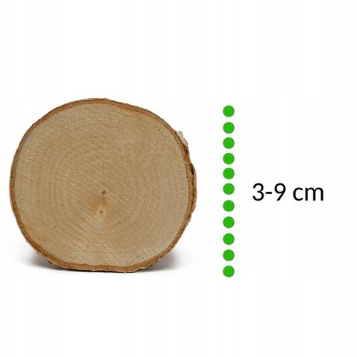 Plastry drewniane, plaster drewna, 3-9 cm - 1 kg wysuszone krążki brzozowe na Arena.pl