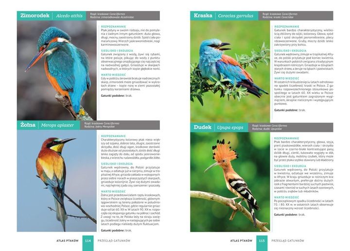 ATLAS PTAKÓW PTAKI POLSKI 250 GATUNKÓW TWARDA OPRAWA KSIĄŻKA NA PREZENT zdjęcie 5