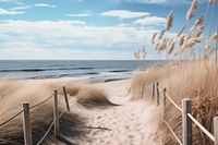 Plakat 45x30cm Nadmorski Most