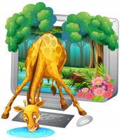 product-compare-62139455