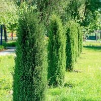 product-compare-57851327