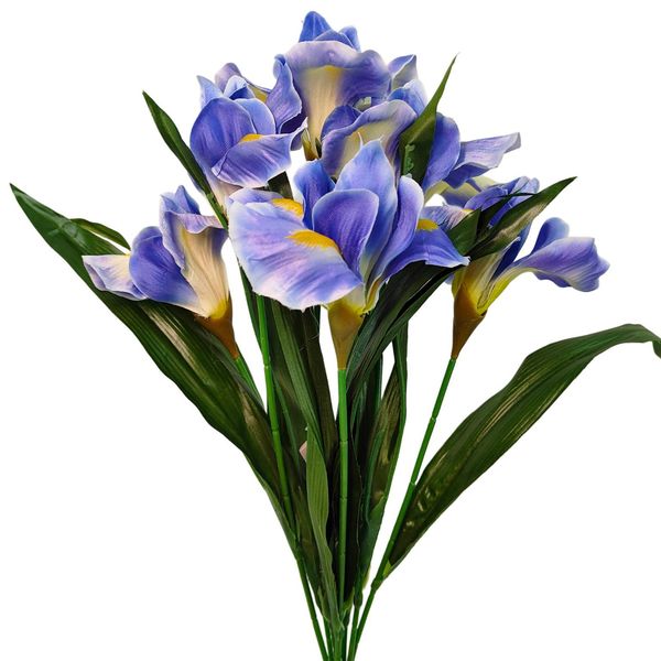Bukiet irys niebieski zdjęcie 1