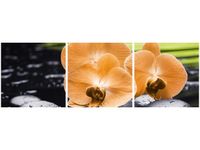 product-compare-58647478