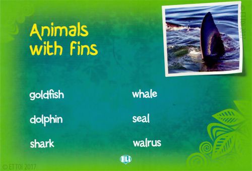 Gra językowa: The Animal Kingdom na Arena.pl