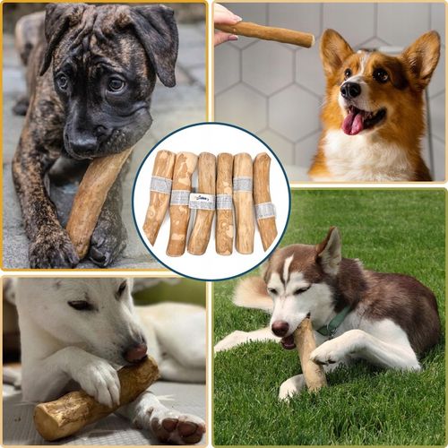 PATYK Z DRZEWA KAWOWEGO M NATURALNY KAWOWY GRYZAK DLA PSA WYTRZYMAŁY ŚREDNI na Arena.pl
