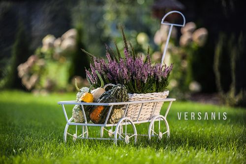 Kwietnik Wózek do ogrodu na Arena.pl
