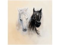 50X50CM BLACK&WHITE OBRAZ