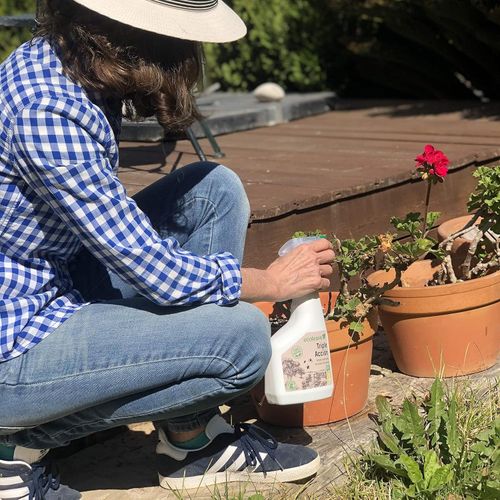 Naturalny Środek na Mszyce i Wełnowce | Ekstrakt z Pokrzywy ECOLEAVEX 750ml na Arena.pl