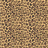 FOTOTAPETA panterka cętki tygrysy duzy wybór TANIO